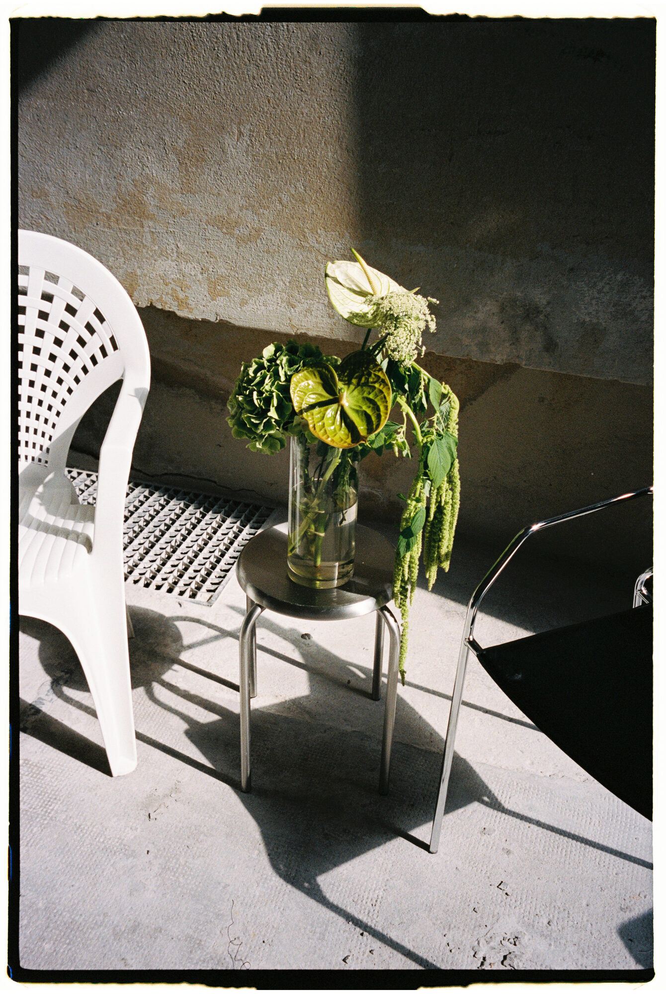 chill and grill, blumen-installation in der halle