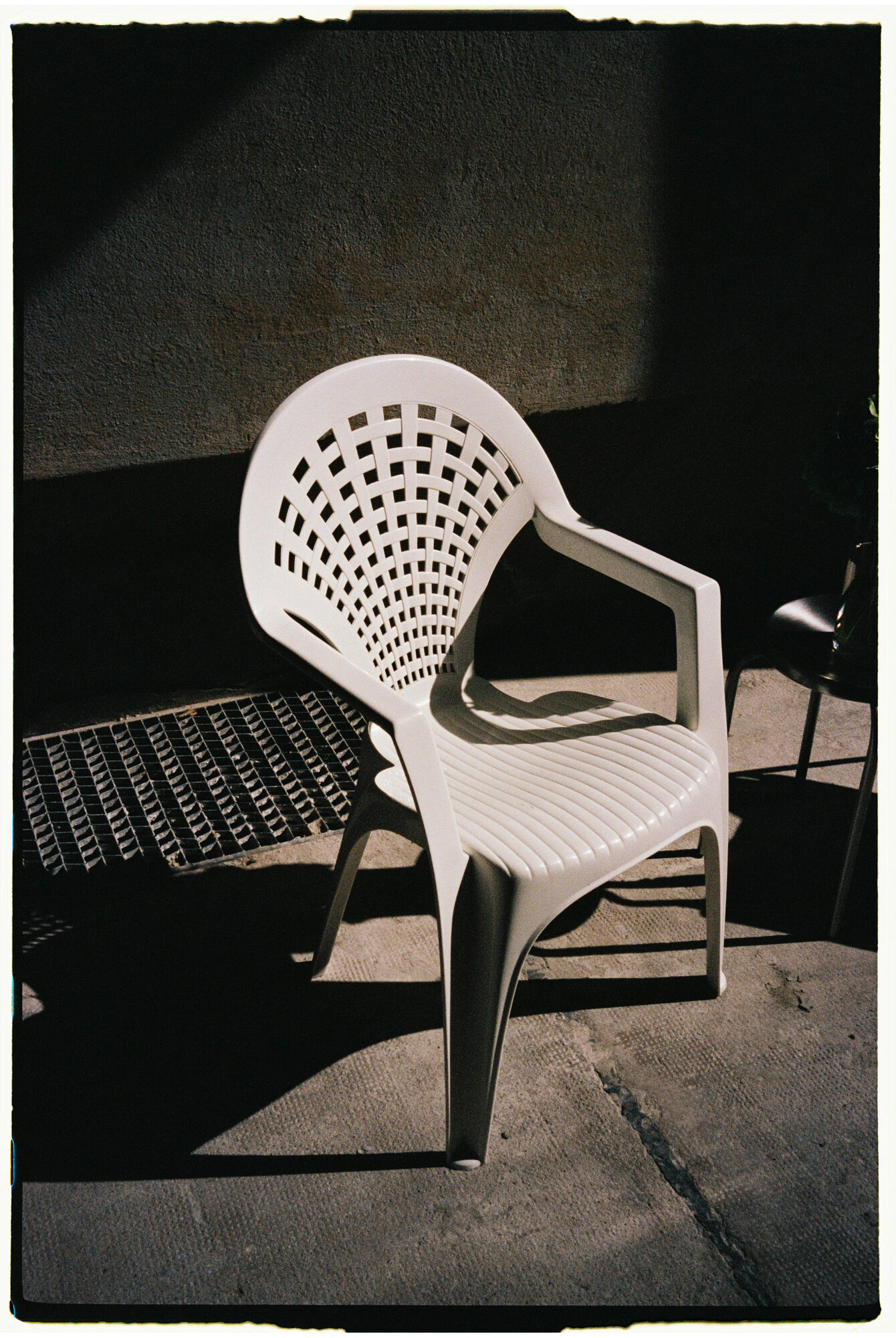chill and grill, blumen-installation in der halle