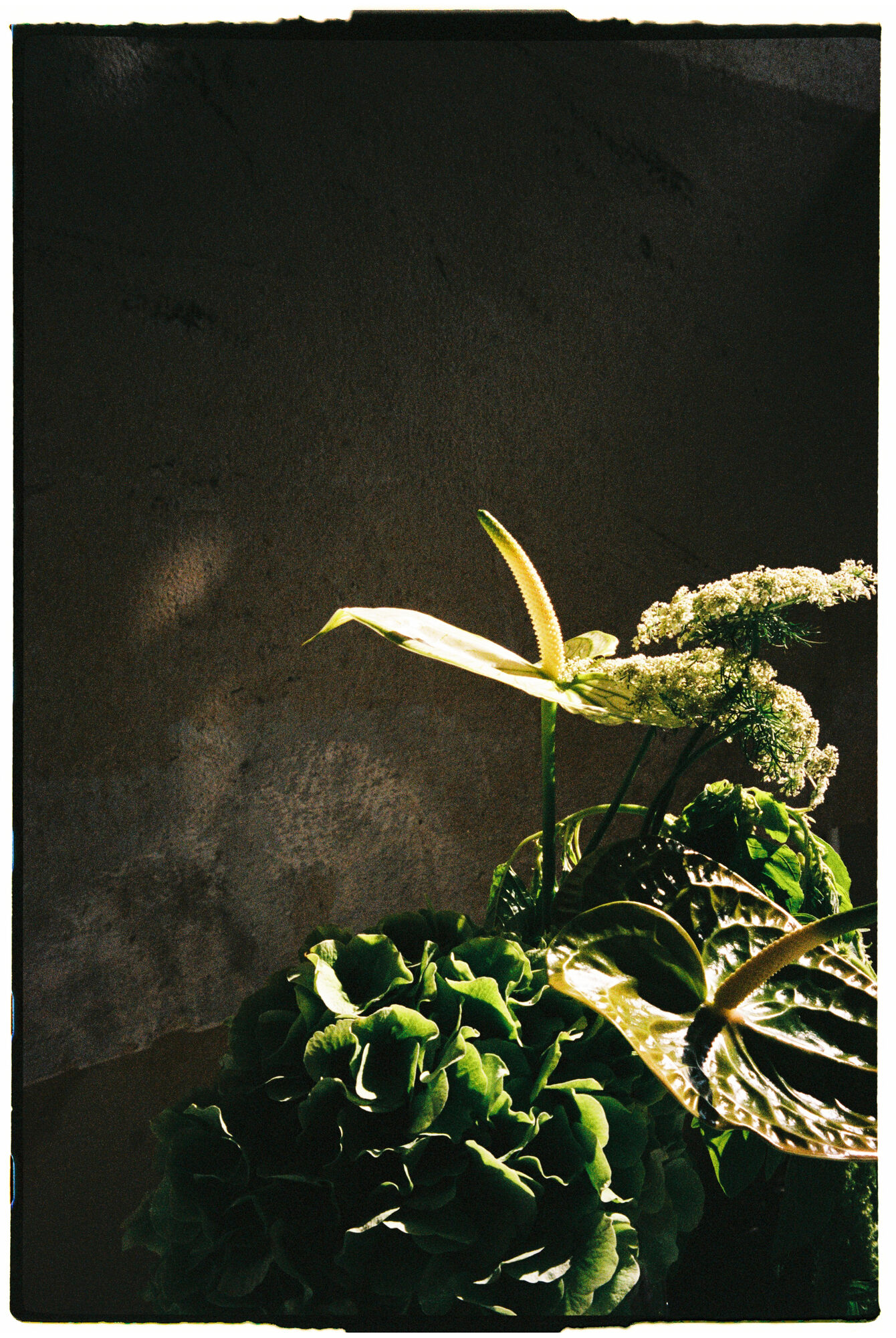 chill and grill, blumen-installation in der halle