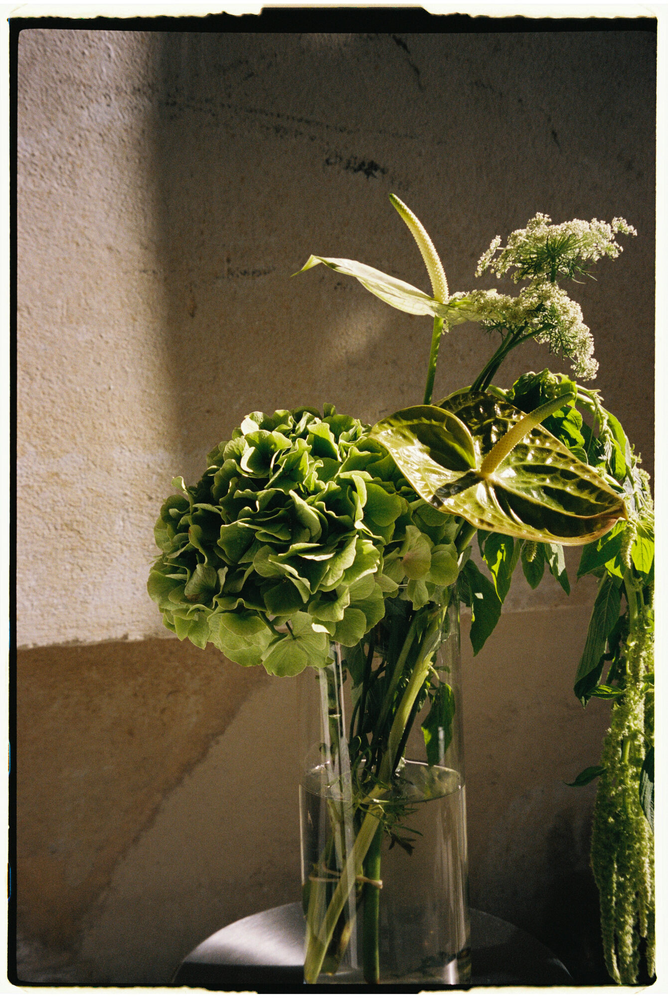 chill and grill, blumen-installation in der halle