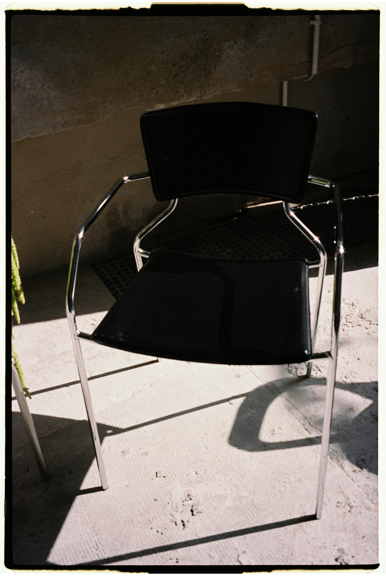 chill and grill, blumen-installation in der halle