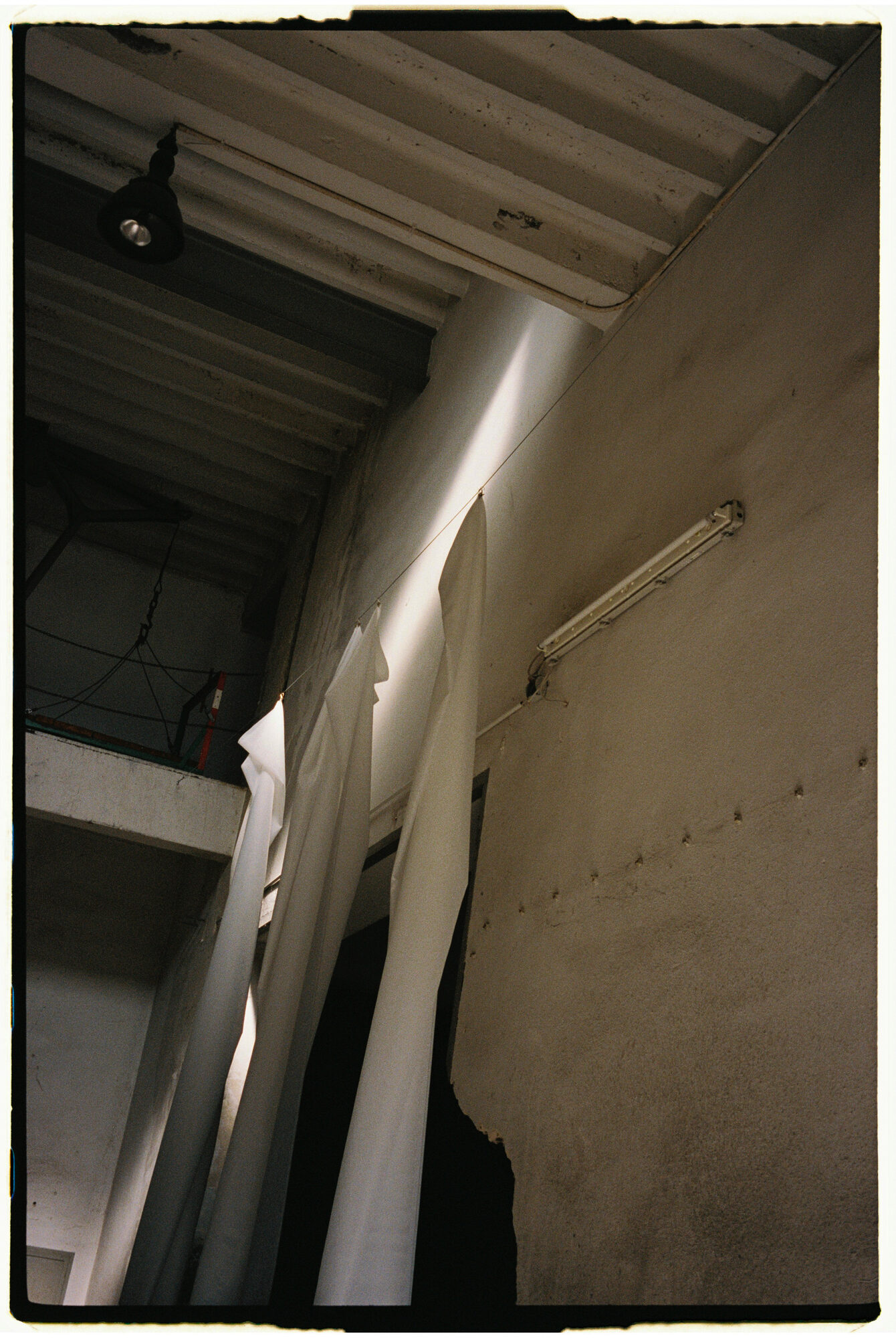 chill and grill, blumen-installation in der halle