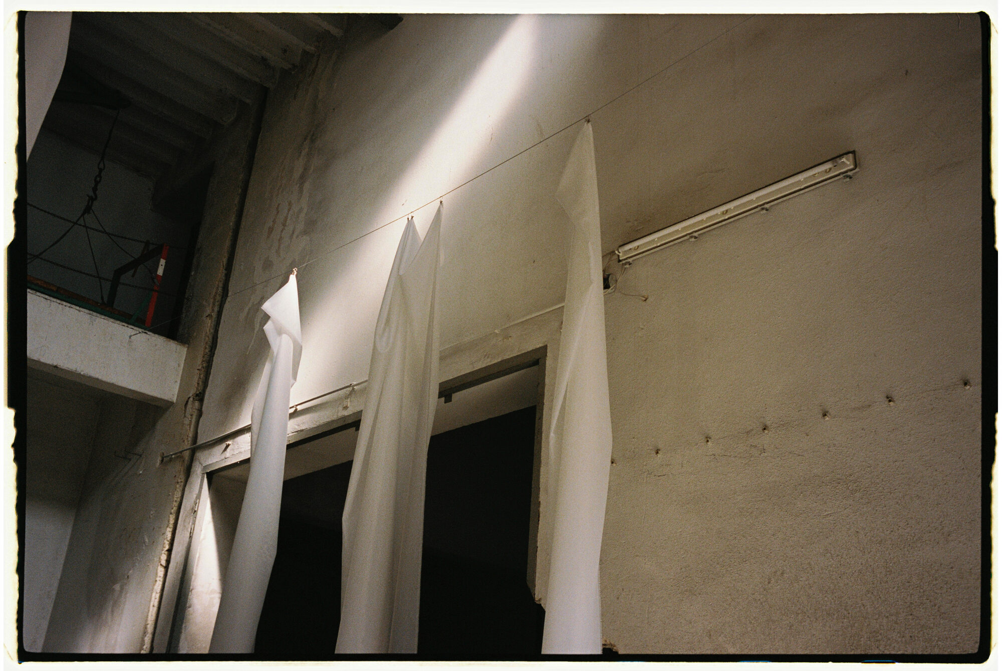 chill and grill, blumen-installation in der halle