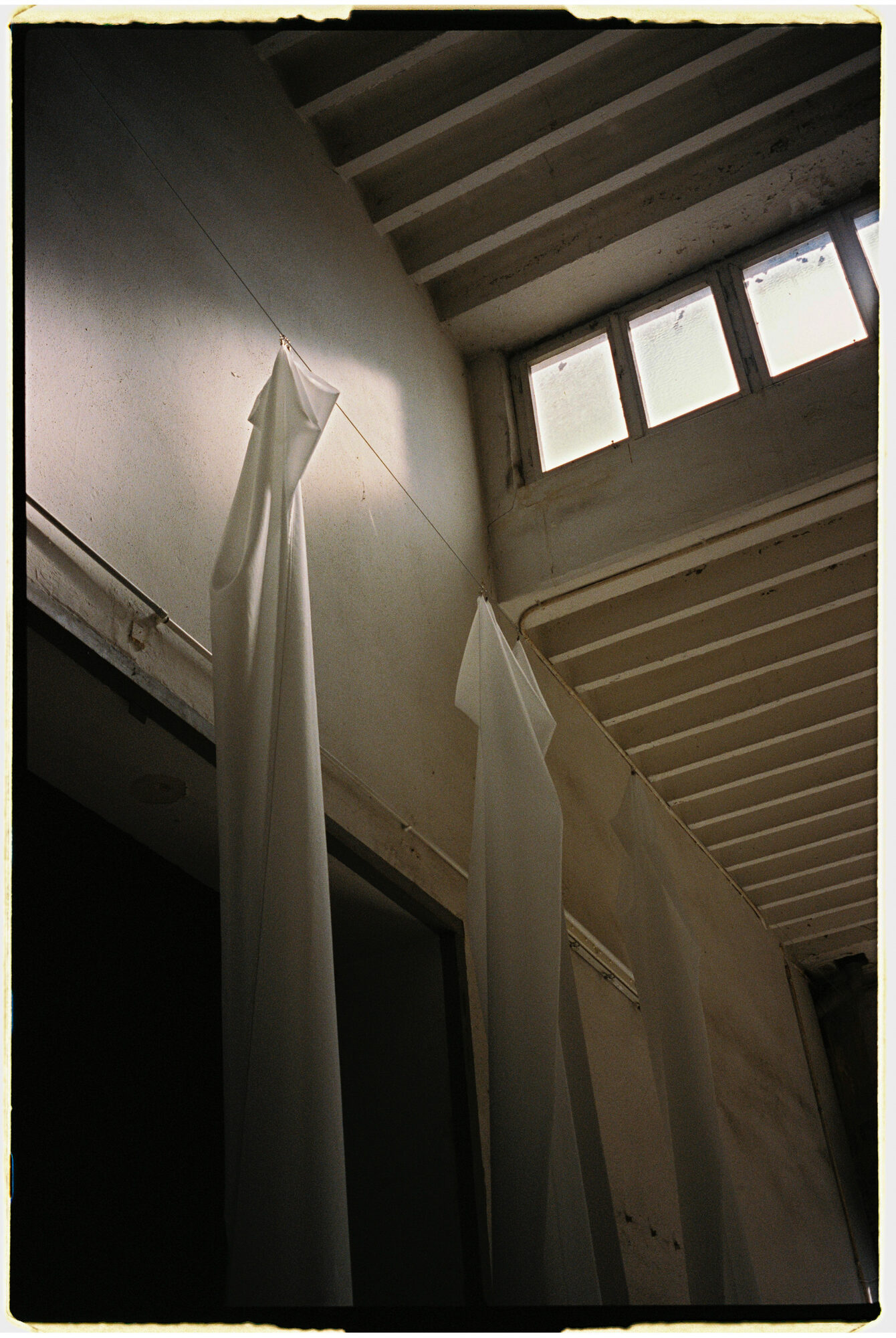 chill and grill, blumen-installation in der halle