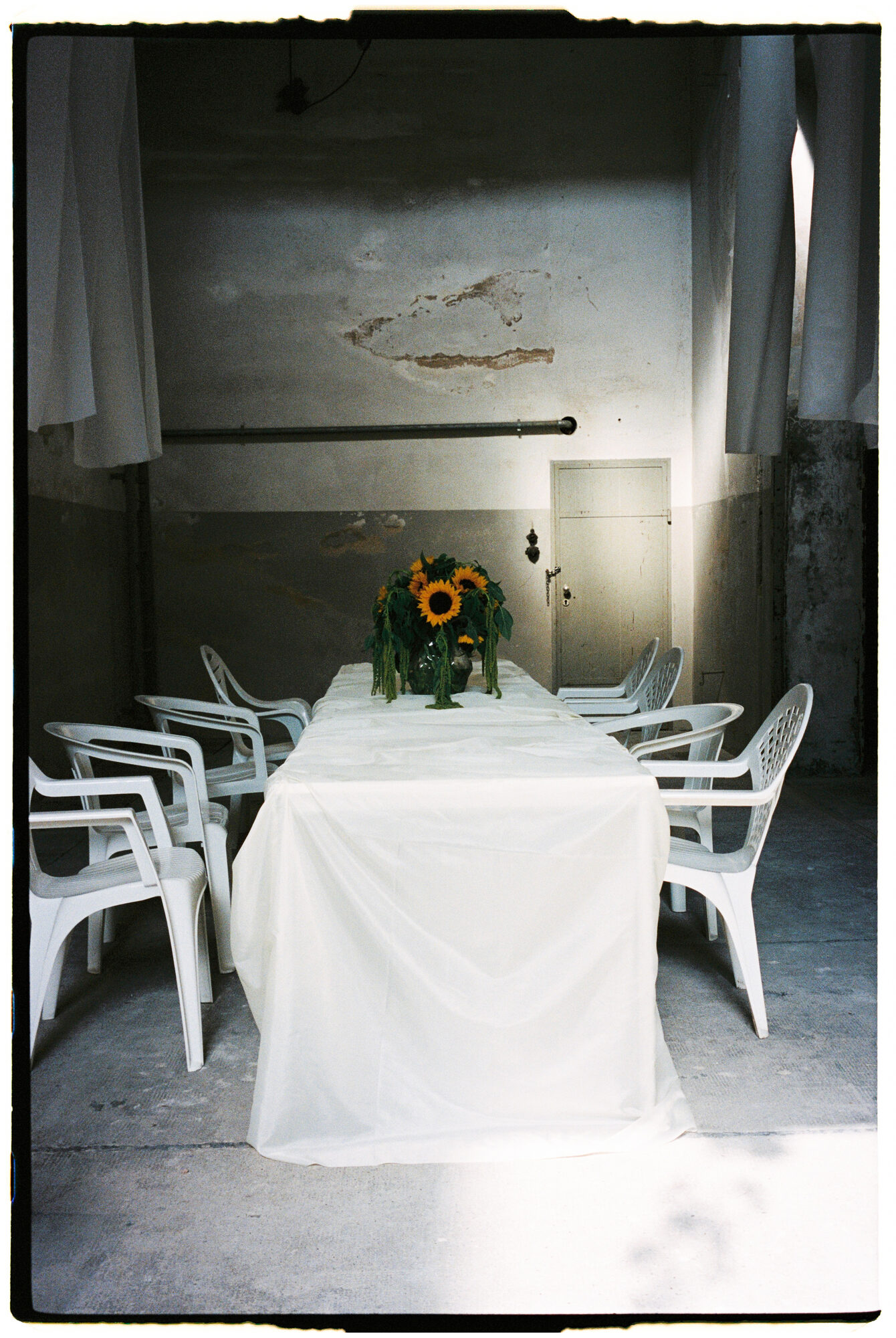 chill and grill, blumen-installation in der halle